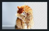 Image d'illustration pour le site https://background-remover.frenchparadise.net